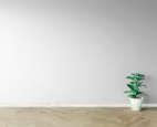 Wall paint